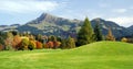 Grassland and green mountains at Kitzbuhel - Austr Royalty Free Stock Photo