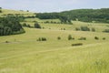 Grassland green spring landscape meadow with hill forest Royalty Free Stock Photo