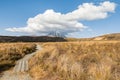 Grassland with hikking track in Tongariro National Park, New Zealand Royalty Free Stock Photo