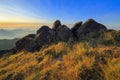 The grassland on the hills in the morning