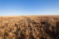 Grassland Horizon Winter Blue Terrain Royalty Free Stock Photo