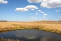 Grassland and lake