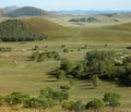 Grassland landscape