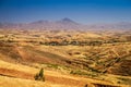 Grassland landscape Royalty Free Stock Photo