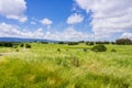 Grassland landscape in Bedwell Bayfront Royalty Free Stock Photo