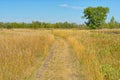 Grassland landscape of Fish Creek Park Royalty Free Stock Photo
