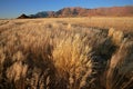 Grassland landscape, Namibia Royalty Free Stock Photo