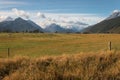 Grassland in Mount Aspiring National Park Royalty Free Stock Photo