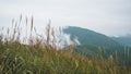 Grassland on mountain ridge covered in clouds on Wugong Mountain in Jiangxi, China Royalty Free Stock Photo