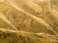 Grassland on mountain slope yellow from drought