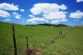 The grassland of Mulan Paddock Royalty Free Stock Photo