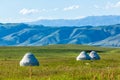 Grassland in nalati,Xinjiang