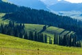 Grassland in nalati,Xinjiang