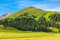 Grassland in nalati,Xinjiang