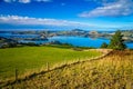 Farmlands above Dunedin town in New Zealand Royalty Free Stock Photo