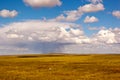Grassland raining Royalty Free Stock Photo