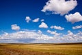 Grassland raining Royalty Free Stock Photo
