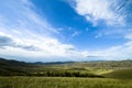 Grassland scenery