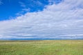 Grassland scenery