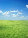 Grassland and sky