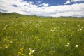 grassland and sky Royalty Free Stock Photo