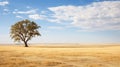 grassland steppe landscape vast