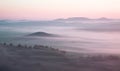 Grassland in thick fog Royalty Free Stock Photo