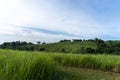 Grassland in toril, davao city Royalty Free Stock Photo