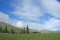 Grassland under blue sky