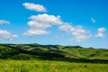 Grassland under the blue sky