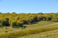 grassland and unsurfaced road Royalty Free Stock Photo