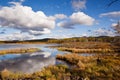 Grassland and wetland