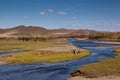 Grassland and wetland Royalty Free Stock Photo