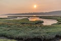 Grassland wetland along the sound Royalty Free Stock Photo