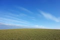 Grassland with white clouds Royalty Free Stock Photo