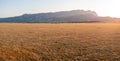 Grasslands of the Dasht Arjan, shiraz, iran Royalty Free Stock Photo