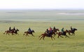 Grasslands on horse racing
