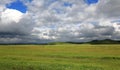 Grasslands in Inner Mongolia China