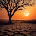 Grassless dry ground and tree without leaves Royalty Free Stock Photo