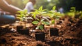 Grassroots movement for planting trees along city avenue Royalty Free Stock Photo