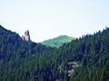 Grassy alpine mountain peak Schonberg or Schoenberg over the Saminatal alpine valley and in the Liechtenstein Alps massiv