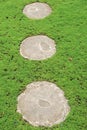 Grassy area with three cement stepping stones Royalty Free Stock Photo