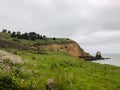 Grassy Coastal Hiking Trailed Filled with Wildflowers, Plants, and Trees Overlooking Rockaway Beach, Pacifica, California