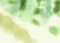 Grassy Color Dirty Art Background. Spring Green