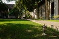 Grassy courtyard of ancient mansion,China