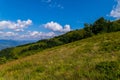 Grassy descent from a high hill with rare green trees on a blue sky background in carpathians