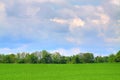 Grassy Field Royalty Free Stock Photo