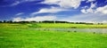 Grassy field Royalty Free Stock Photo