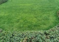 Spring grassy Field Royalty Free Stock Photo