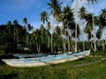 Grassy field with boats surrounded by palm trees in Tahiti. french Polynesia